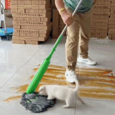 Self-twisting Water Rotating Mop